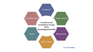 A diagram made up of 6 hexagons each labelled with a different facet of psychological flexibility according to acceptance and commitment therapy: Acceptance, cognitive defusion, being present, self as context, values, and committed action