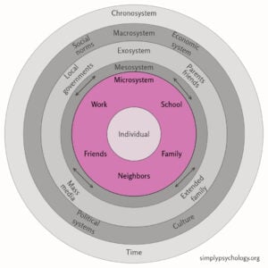 A figure outlining nesting circles representing Bronfenbrenner's ecological systems theory. The systems are in greyscale aside from the microsystem which is pink.