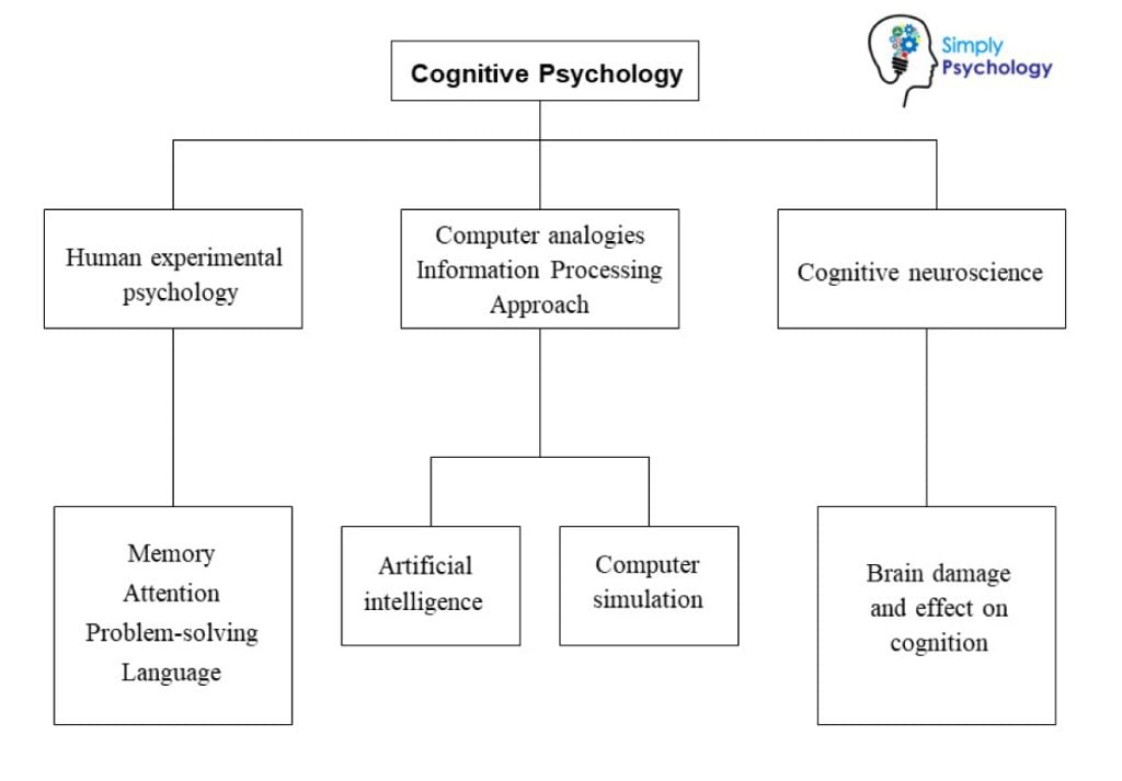 cognitive psychology