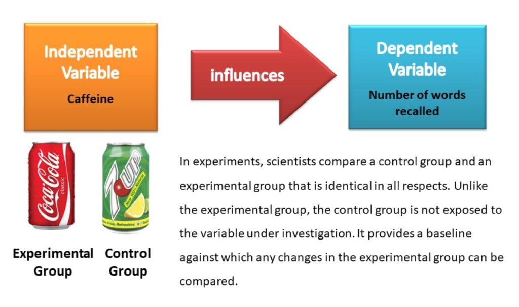 In experiments, scientists compare a control group and an experimental group that is identical in all respects. Unlike the experimental group, the control group is not exposed to the variable under investigation. It provides a baseline against which any changes in the experimental group can be compared. 
