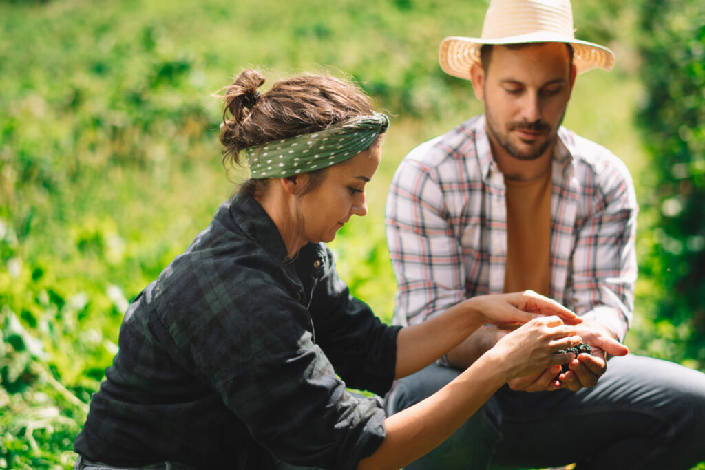 foraging fall couple