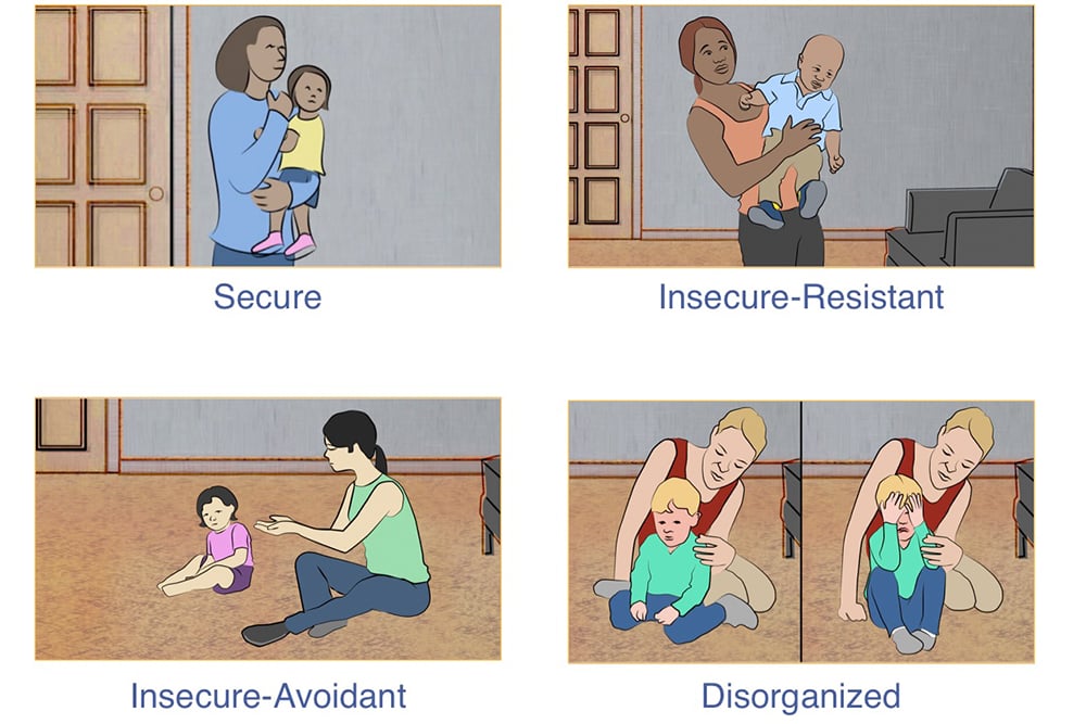 infant attachment styles