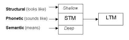 levels of processing memory model