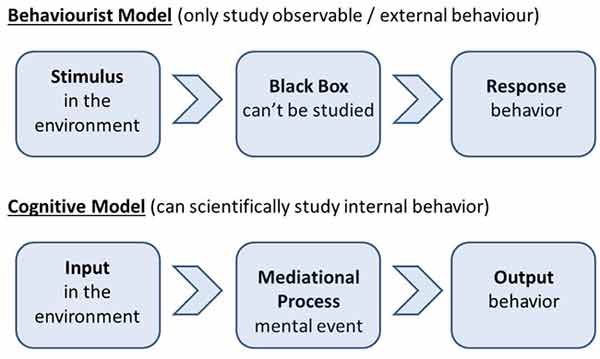 social Learning Theory Mediational Processes