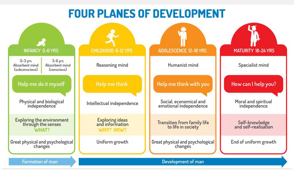 Montessori Planes of Development