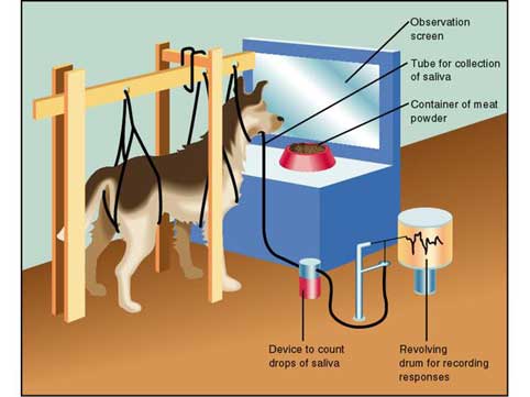 Pavlov