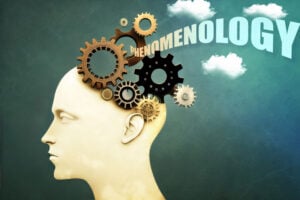 Image of a human head with cogs and the word 'Phenomenology'