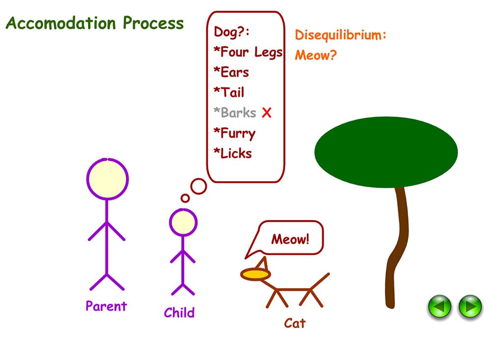 Example of accommodation in Psychology