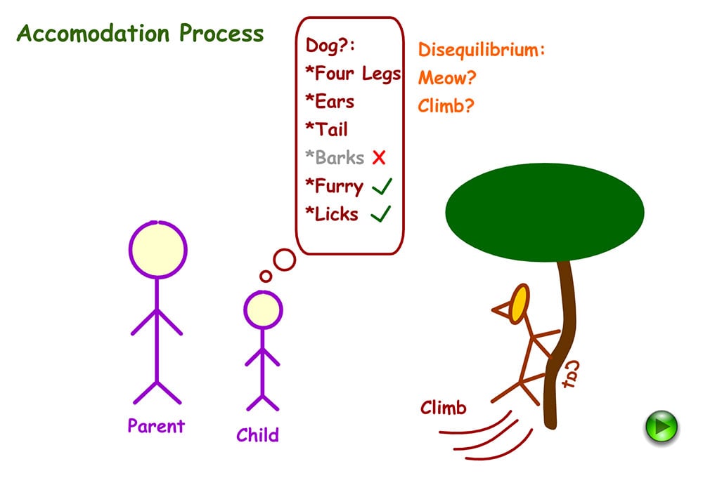 Example of accommodation in Psychology