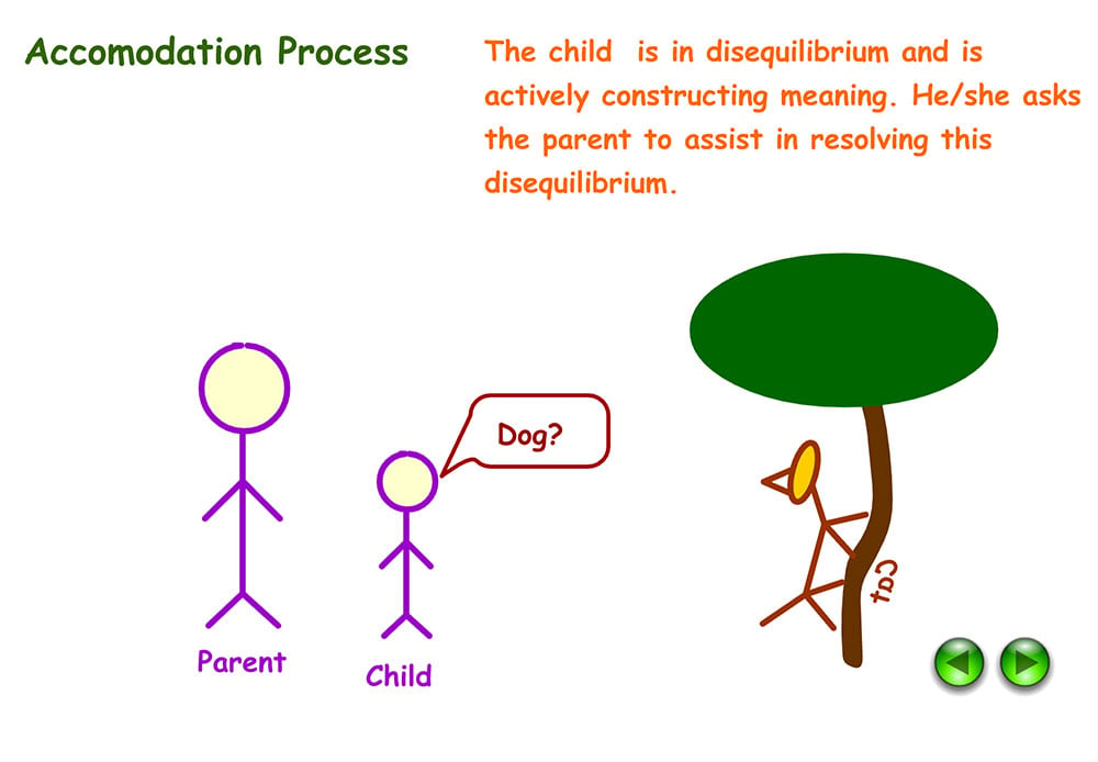 Example of accommodation in Psychology