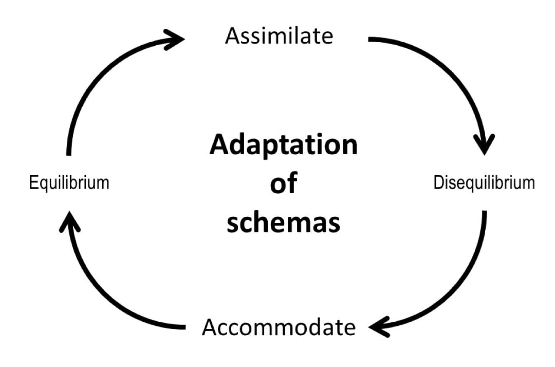 piaget adaptation2