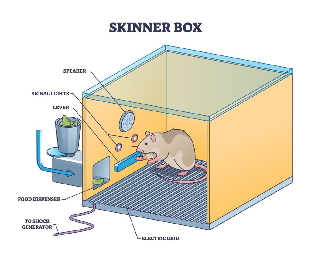 Skinner box or operant conditioning chamber experiment outline diagram. Labeled educational laboratory apparatus structure for mouse or rat experiment to understand animal behavior vector illustration