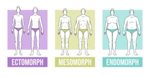 Somatotypes2