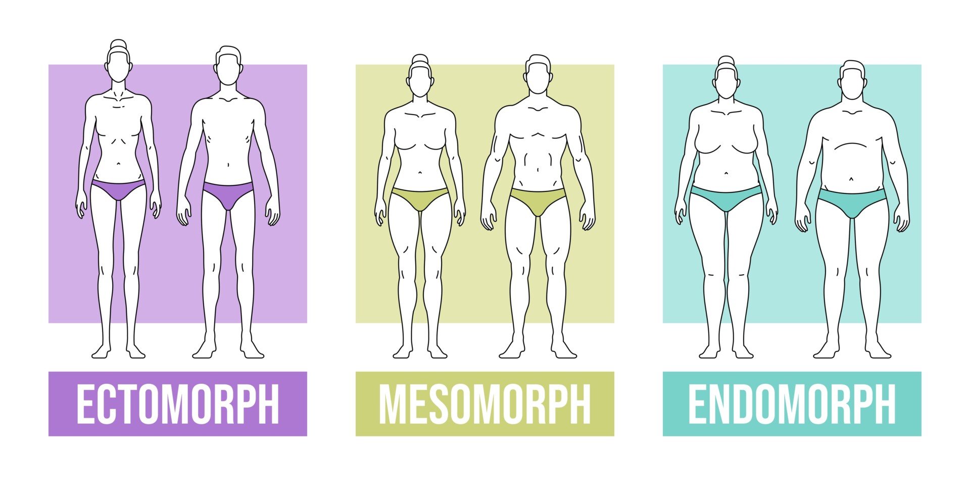 Somatotypes2