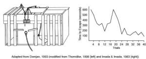 thorndike