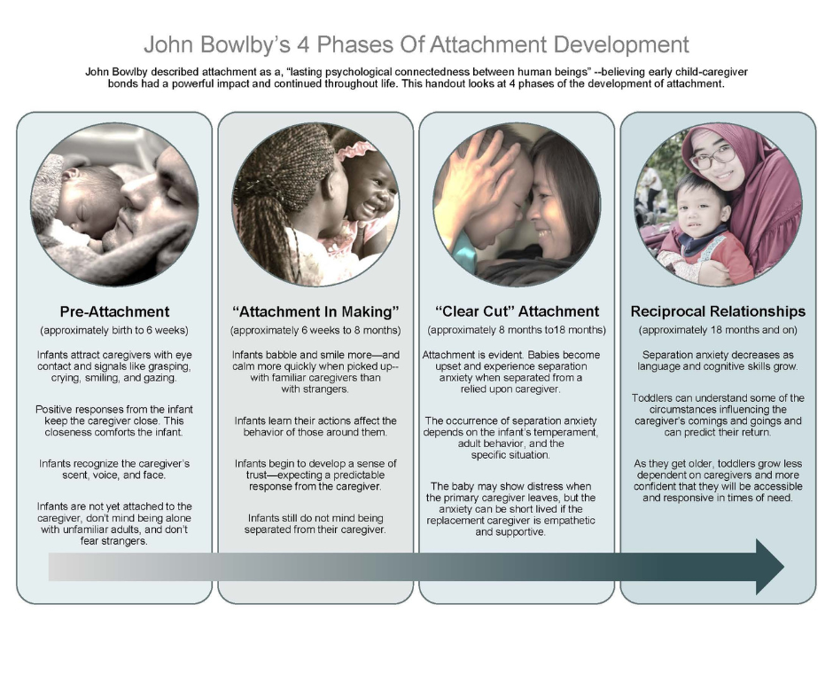 bowlby attachment phases